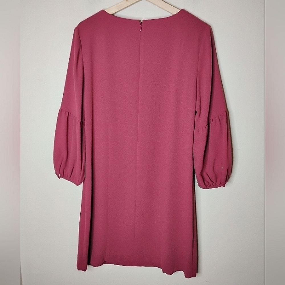 NWT Ann Taylor Shift Dress - Picture 8 of 11